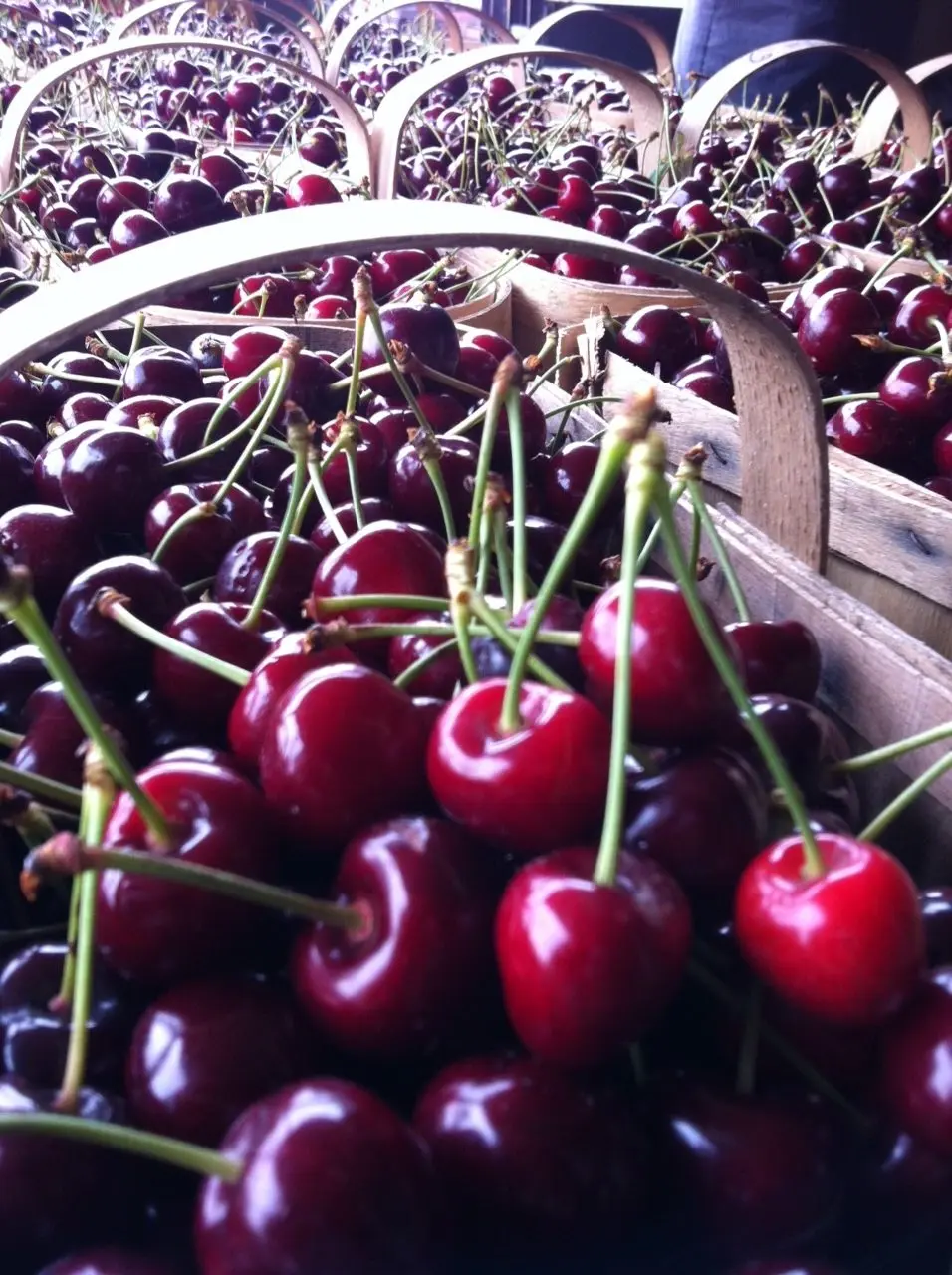 cherries