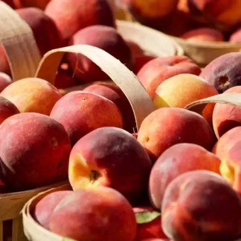 Peaches