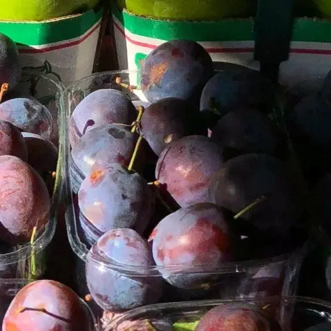 Plums