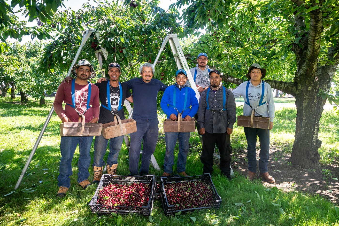team_cherries