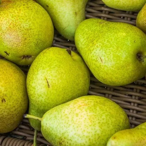 Pears
